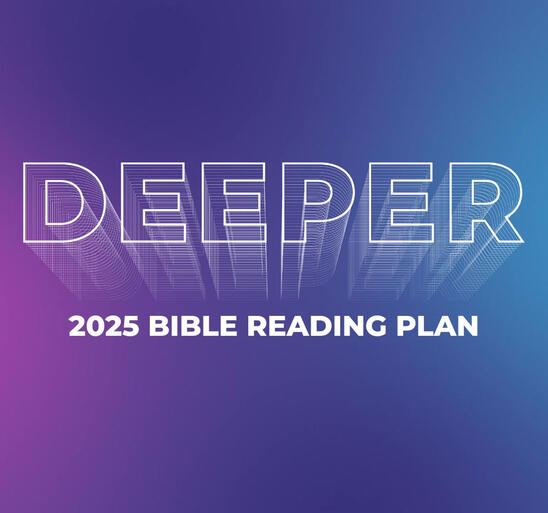 Grow in your Bible knowledge this year
